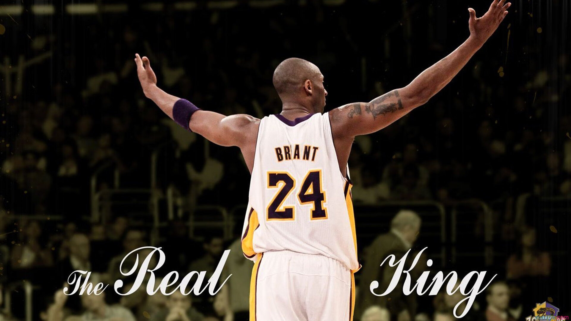 直播互动：战队直播间粉丝互动创意活动提升忠诚度，主播站队