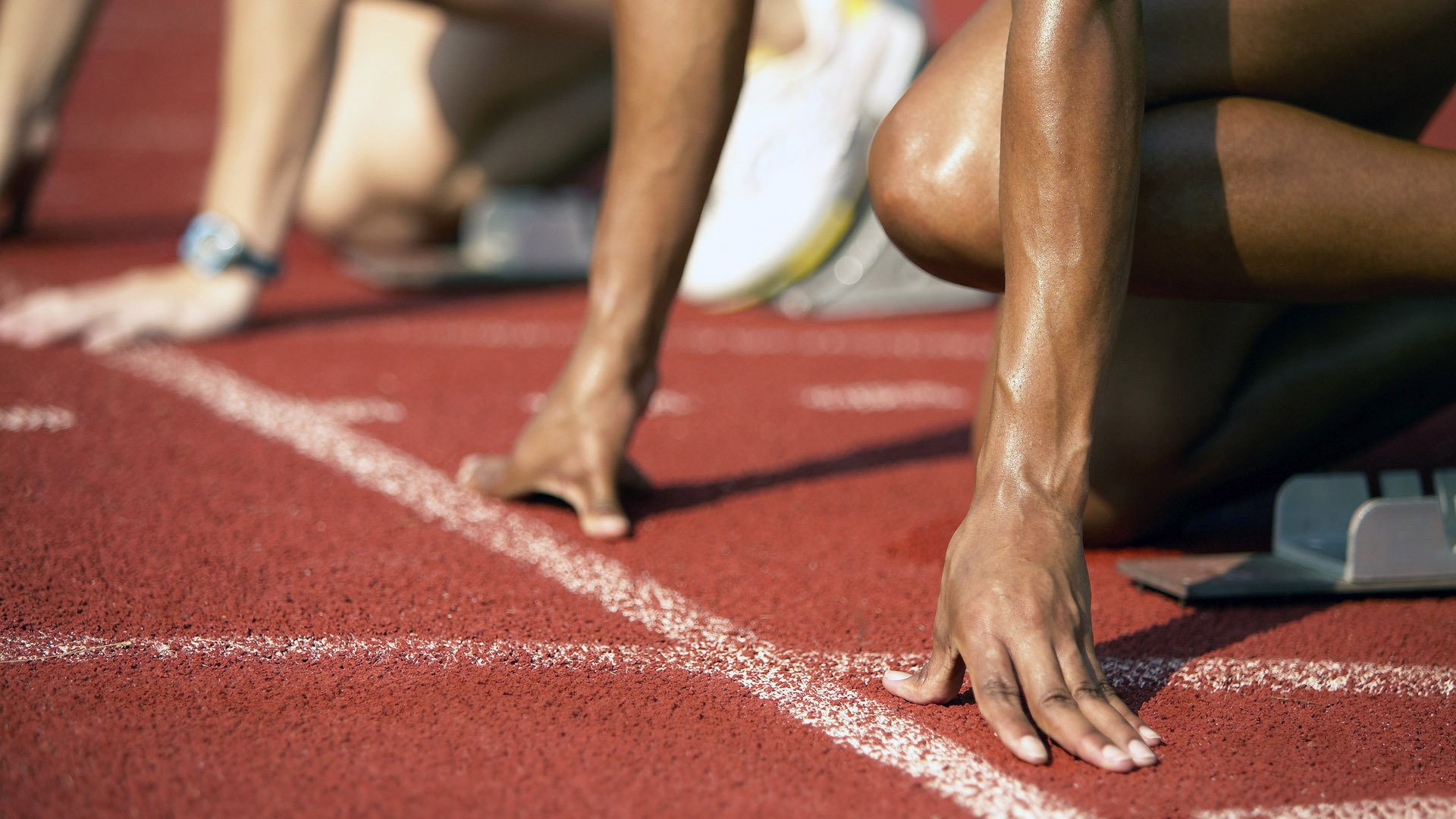 聖卢西亚环保长跑活动盛大举行,圣卢西亚湿地公园